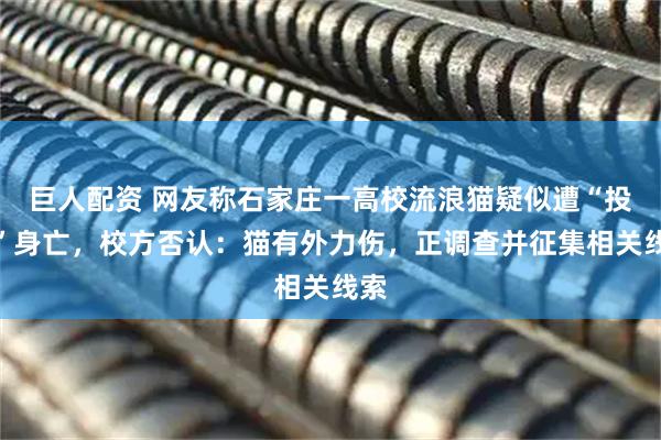 巨人配资 网友称石家庄一高校流浪猫疑似遭“投毒”身亡，校方否认：猫有外力伤，正调查并征集相关线索