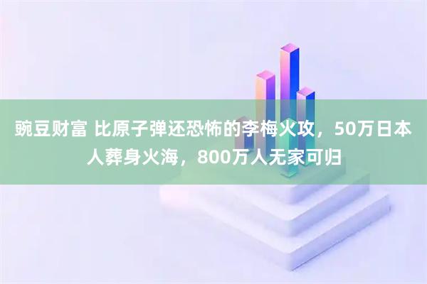 豌豆财富 比原子弹还恐怖的李梅火攻，50万日本人葬身火海，800万人无家可归
